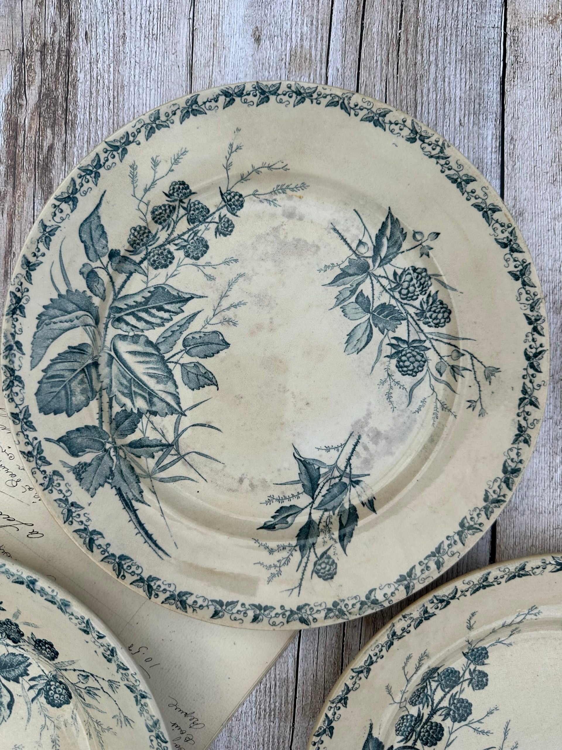Set of 6 patinated Badonviller flat plates, Blackberry pattern