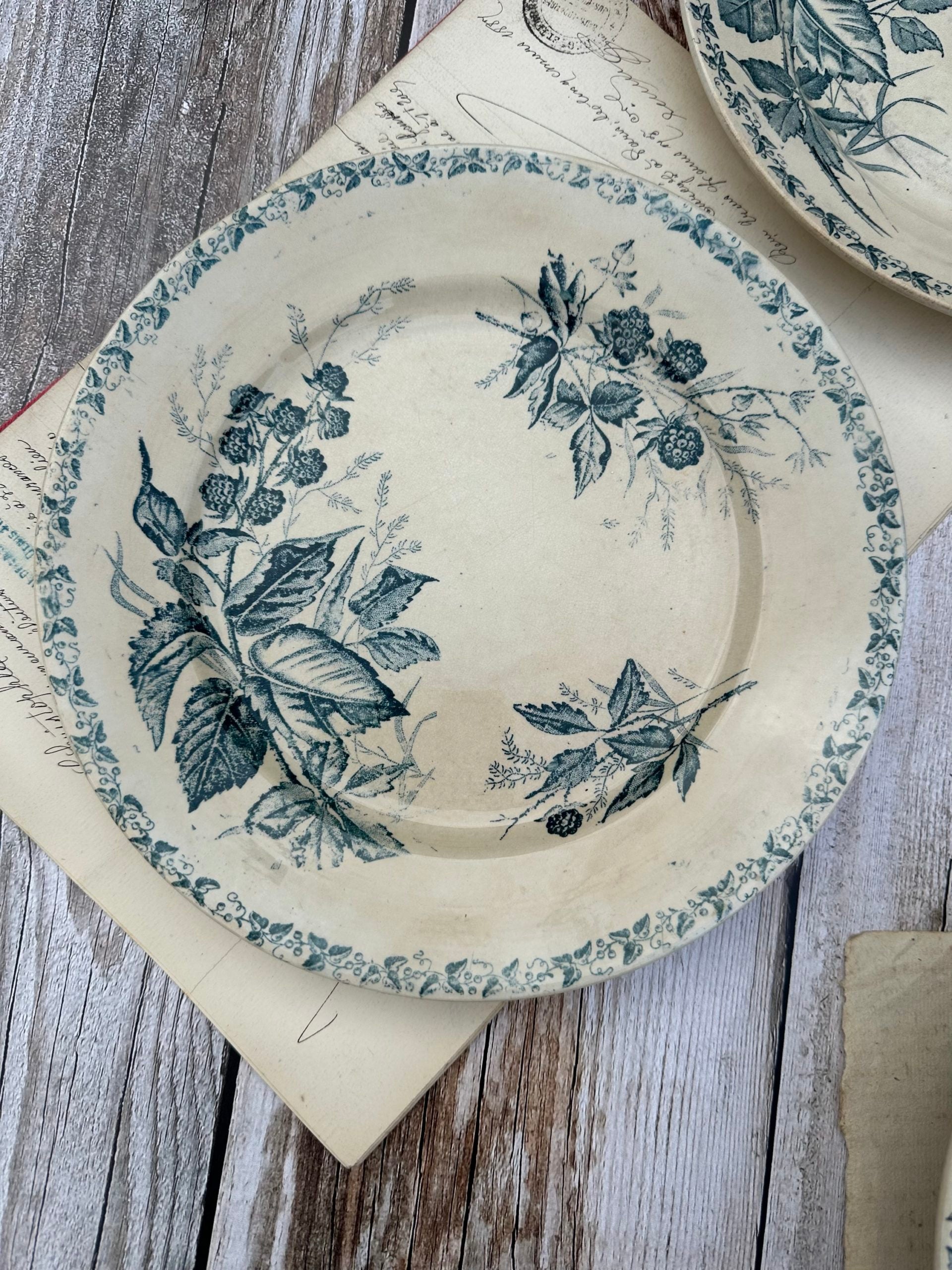 Set of 6 patinated Badonviller flat plates, Blackberry pattern