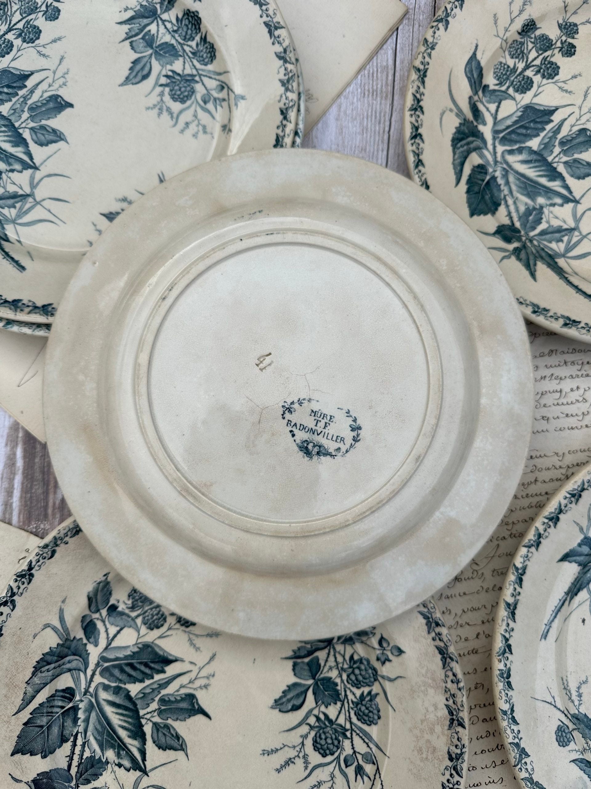 Set of 6 patinated Badonviller flat plates, Blackberry pattern