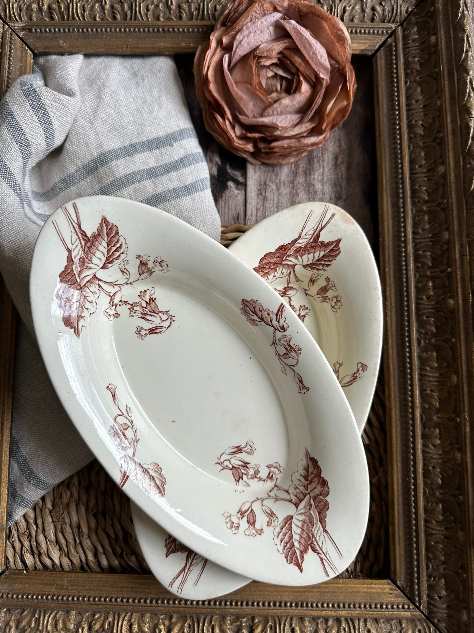 Ravier Lunéville Primevère