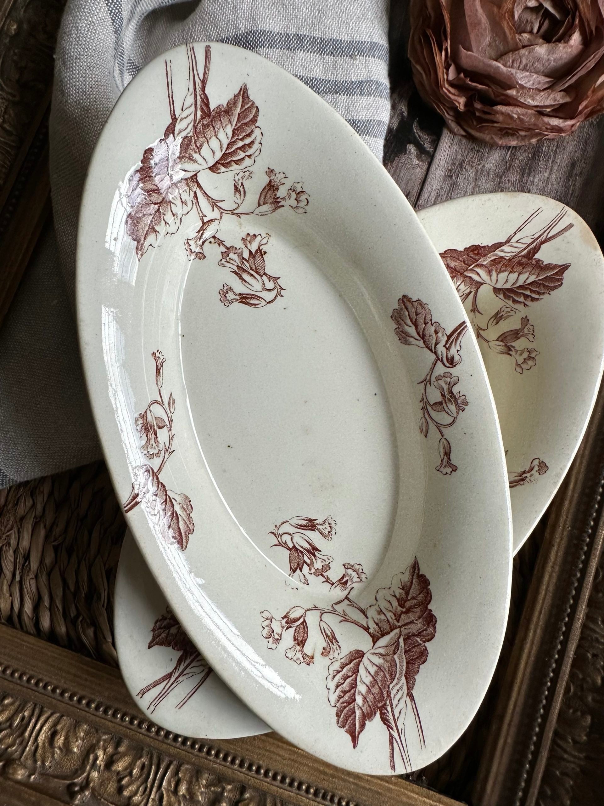 Ravier Lunéville Primevère