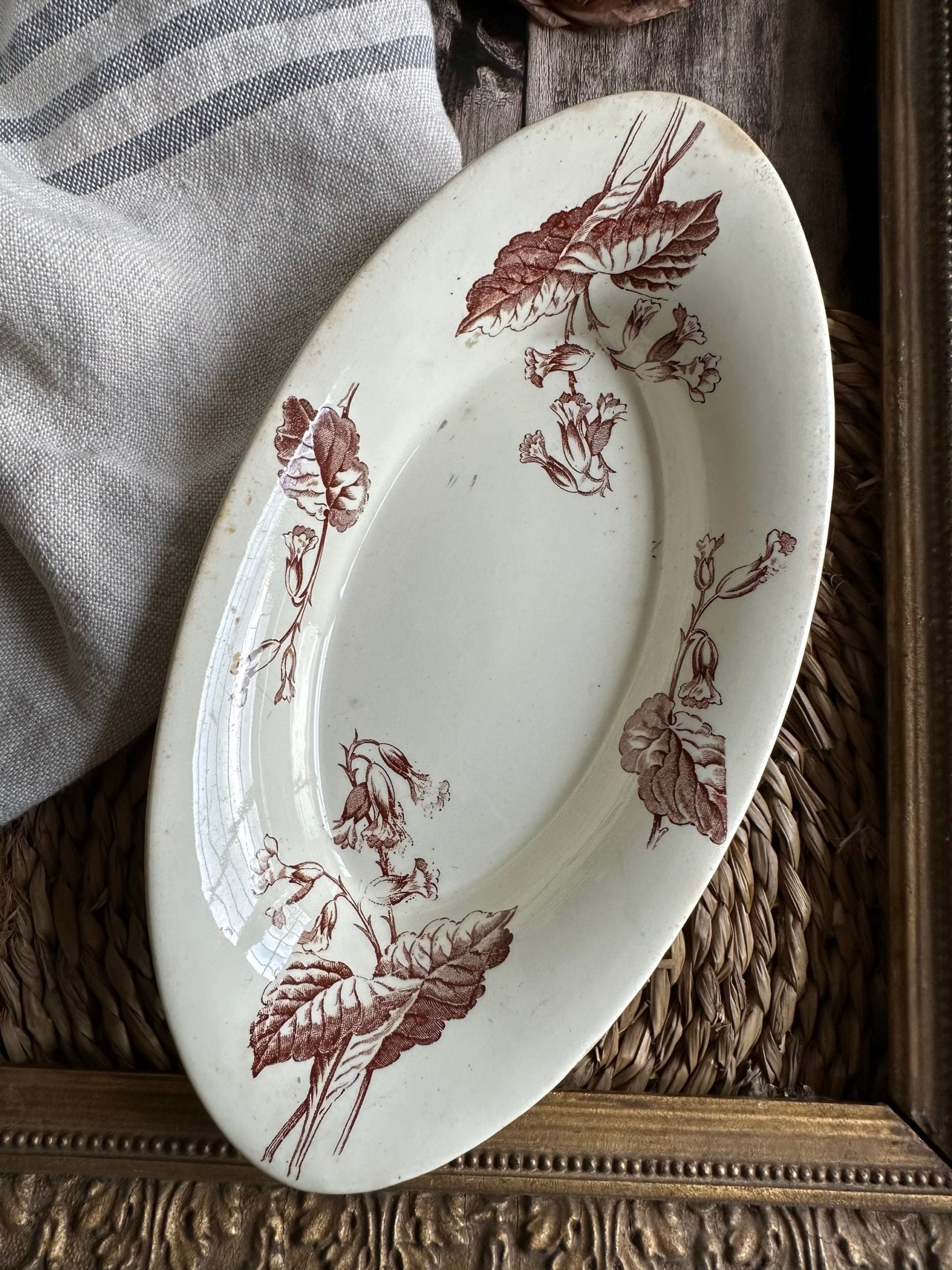 Ravier Lunéville Primevère