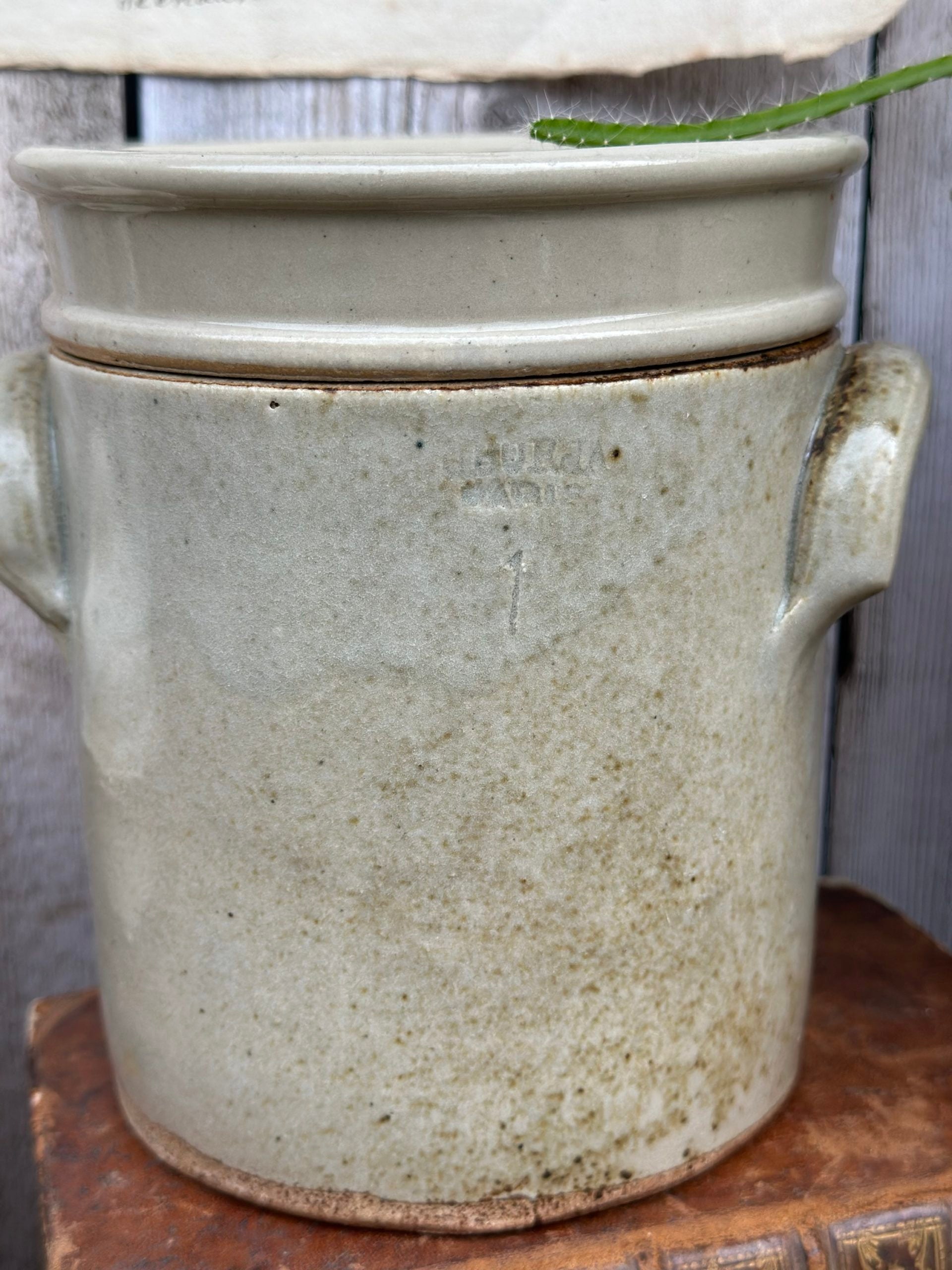 Fermentation pot or glazed stoneware salting tub