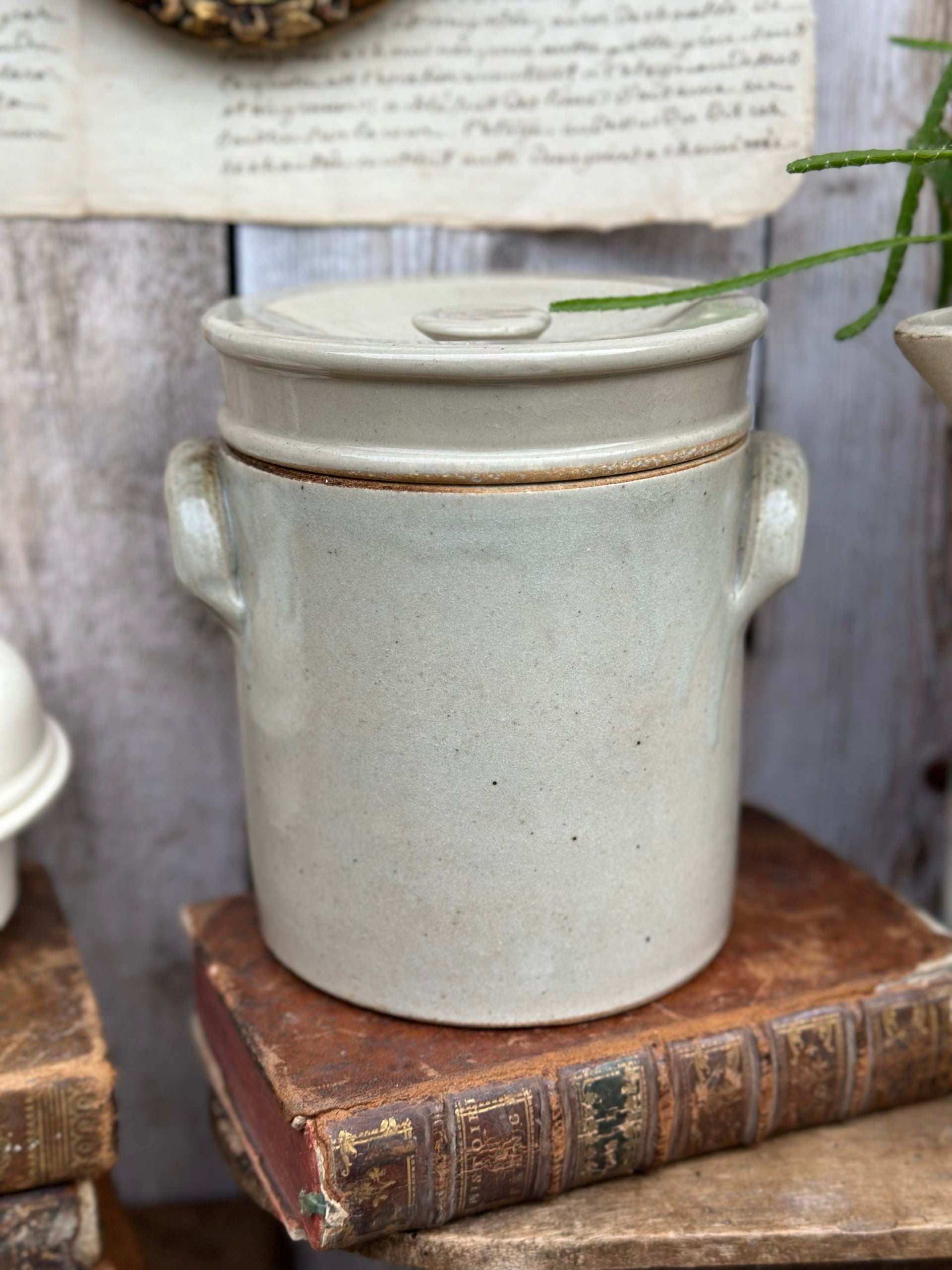 Fermentation pot or glazed stoneware salting tub