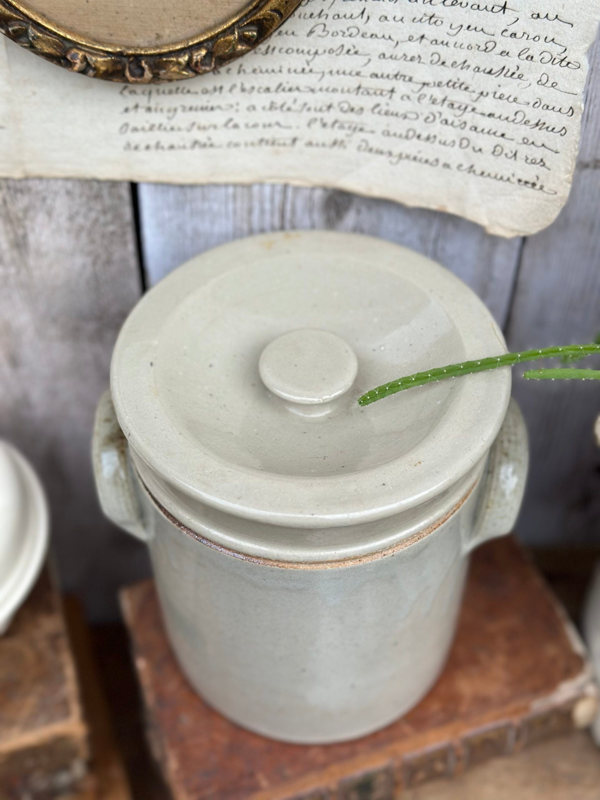 Fermentation pot or glazed stoneware salting tub