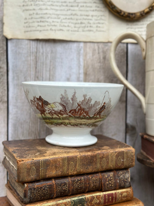 Lunéville polychrome bowl