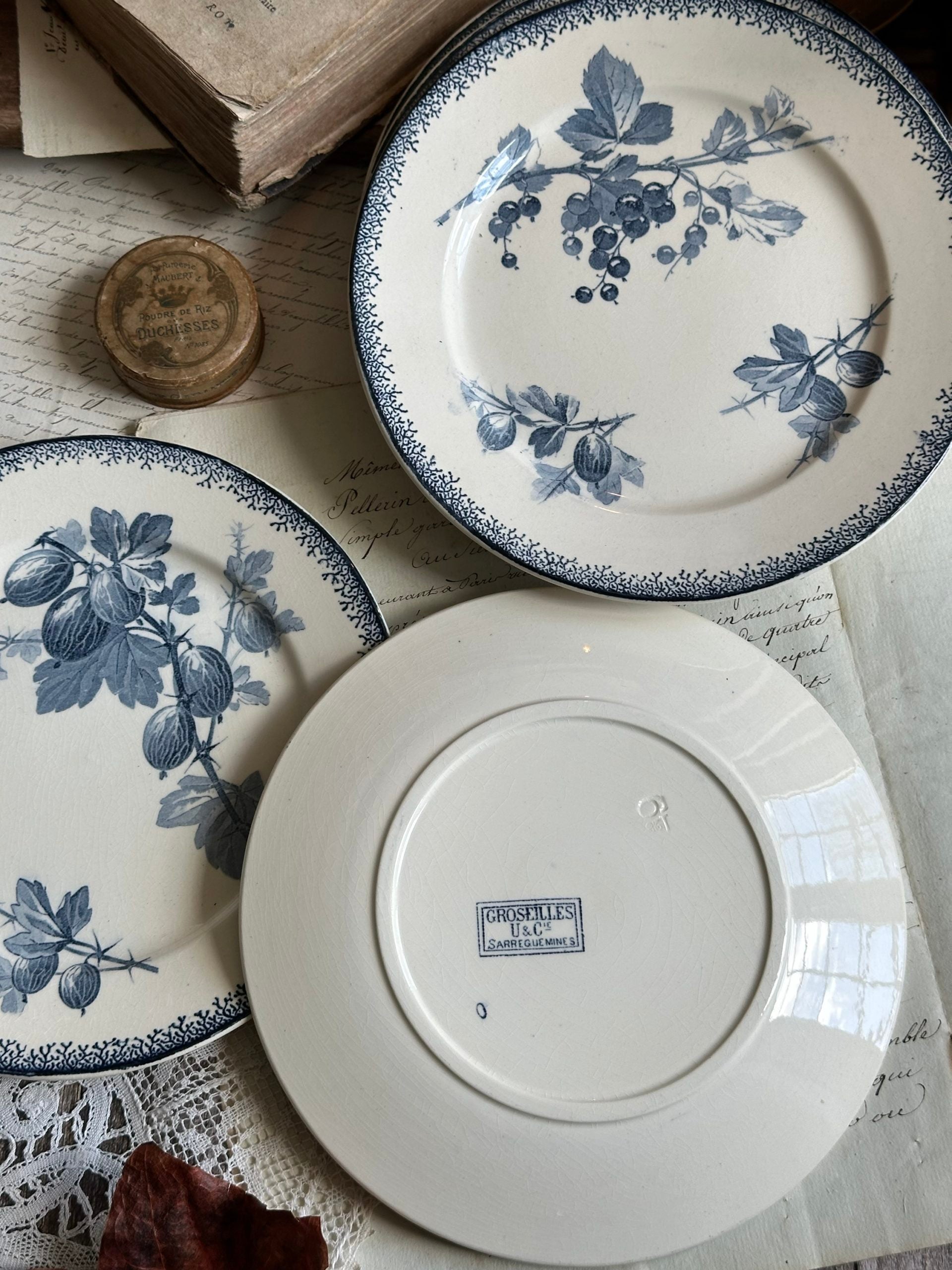 Suite de 6 assiettes à dessert Sarreguemines modèle Groseilles