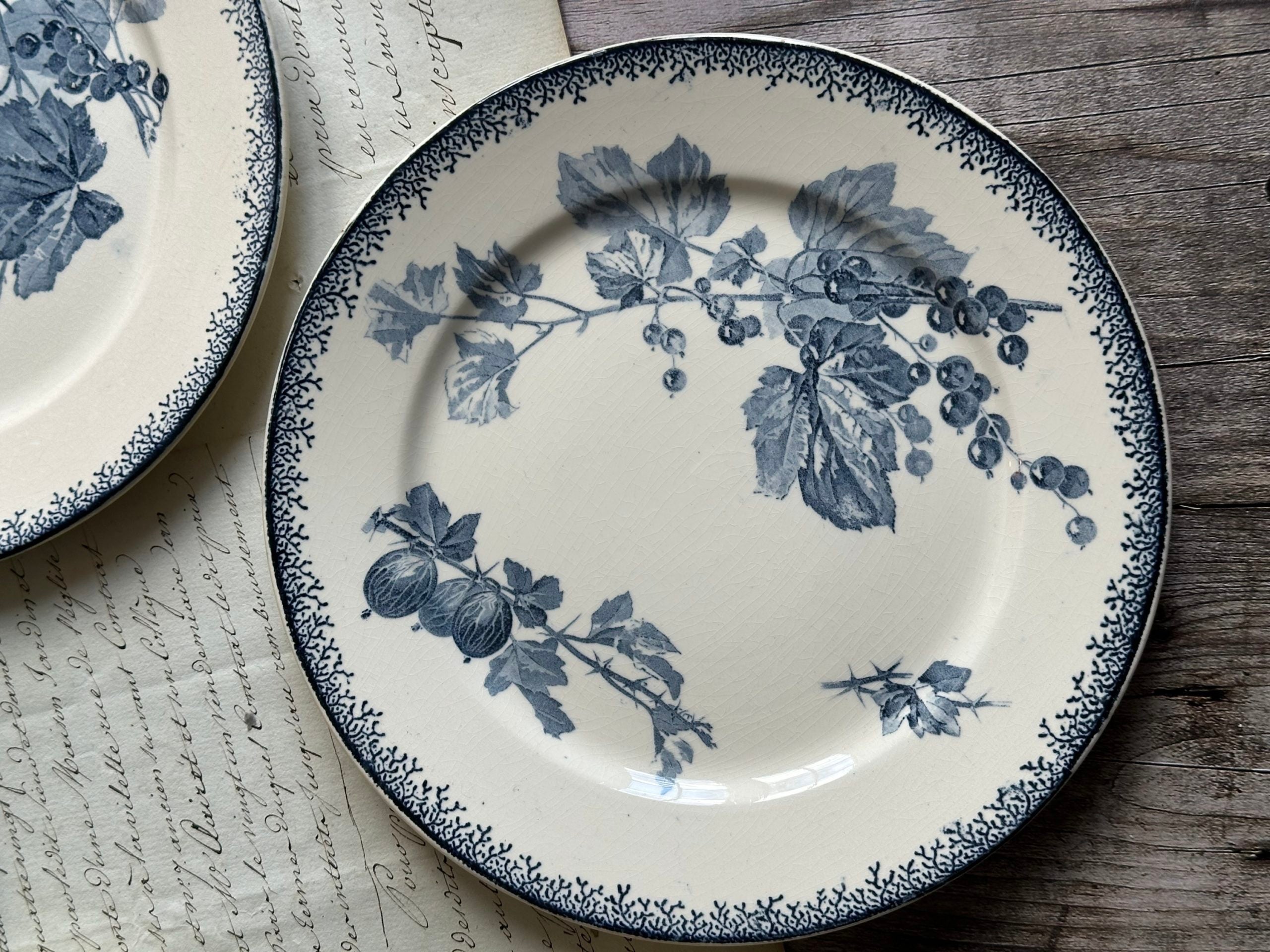 Suite de 6 assiettes à dessert Sarreguemines modèle Groseilles