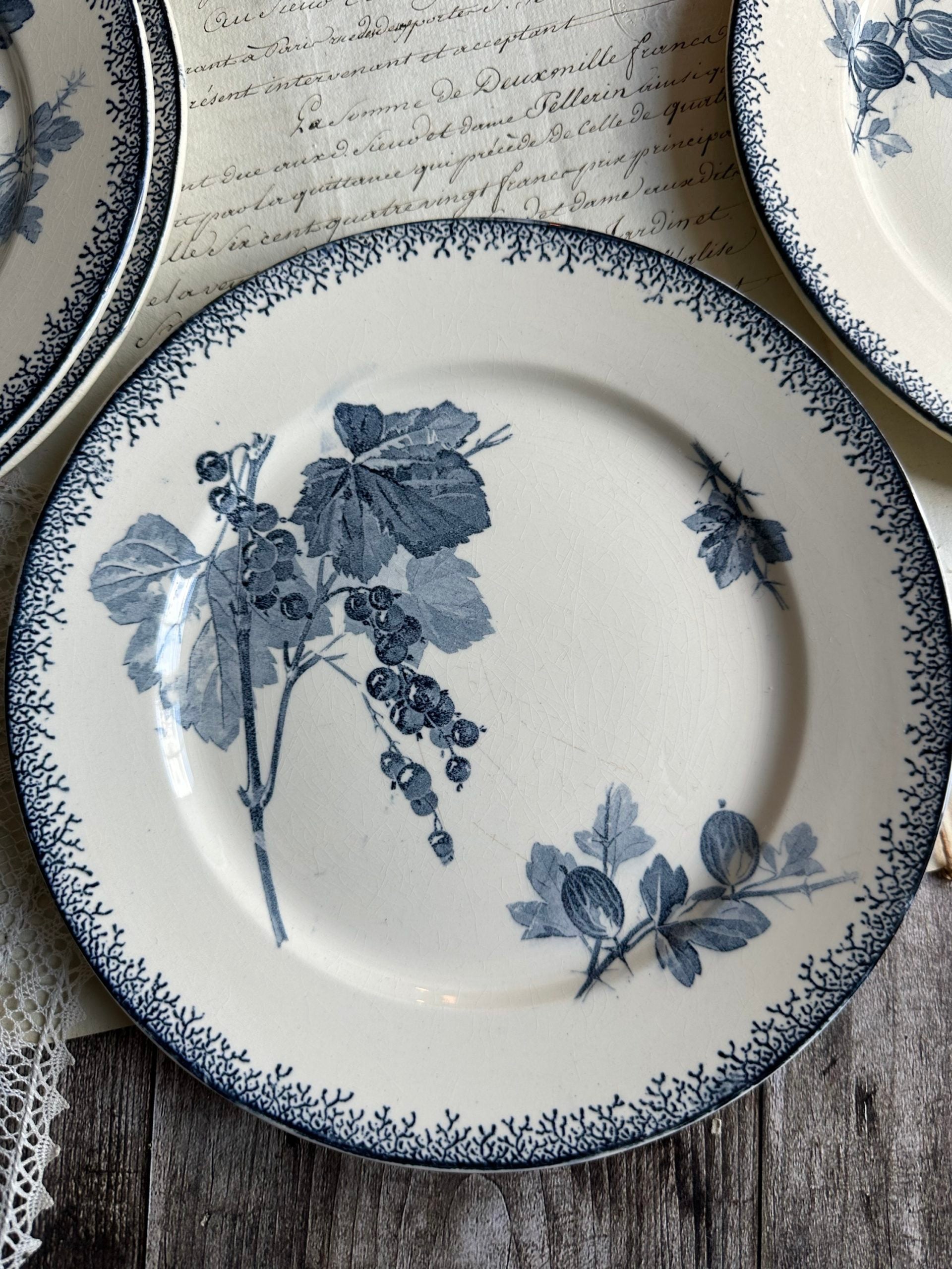 Suite de 6 assiettes à dessert Sarreguemines modèle Groseilles