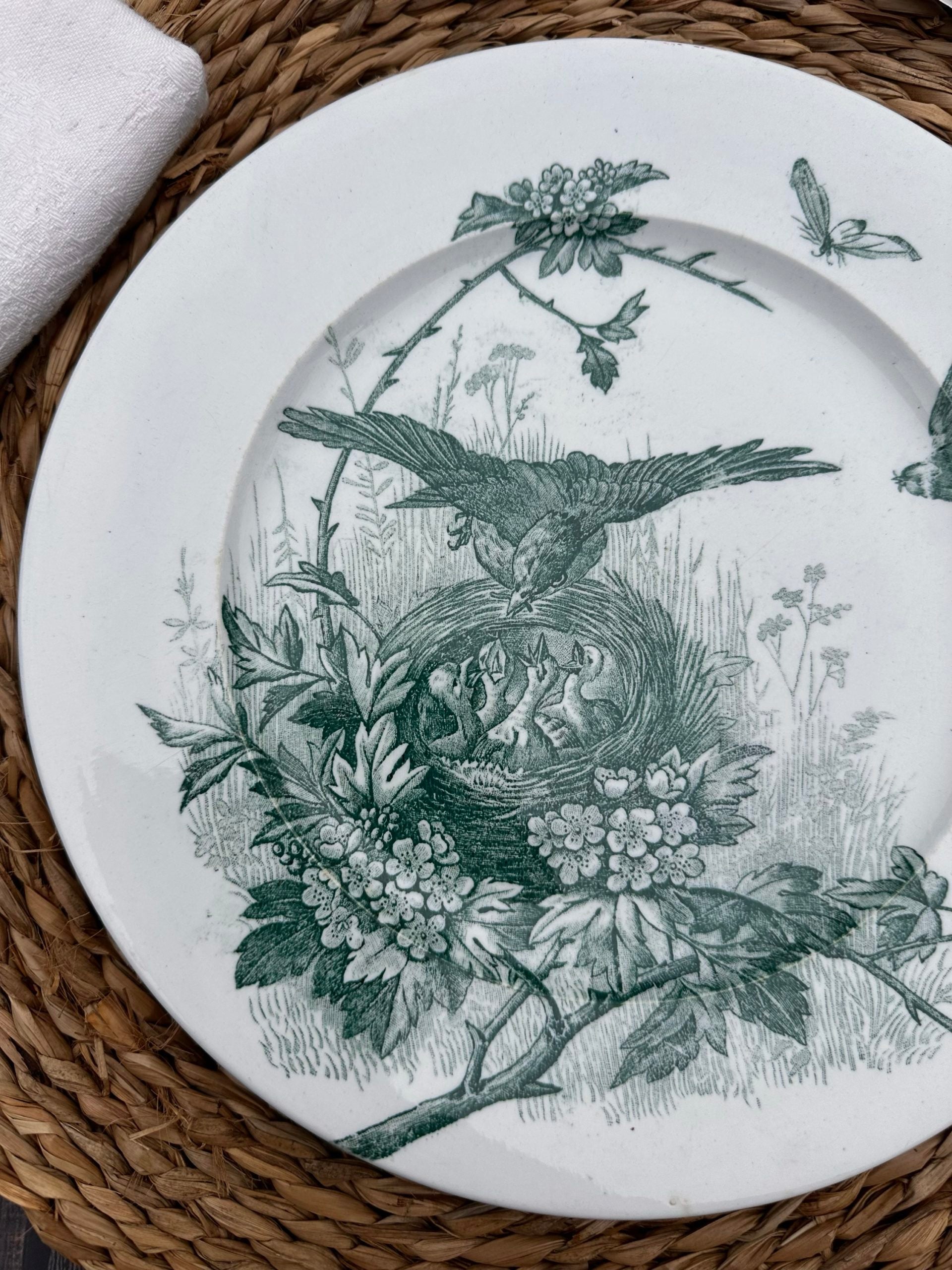 Sublime assiette Jules Vieillard Bordeaux modèle Oiseaux