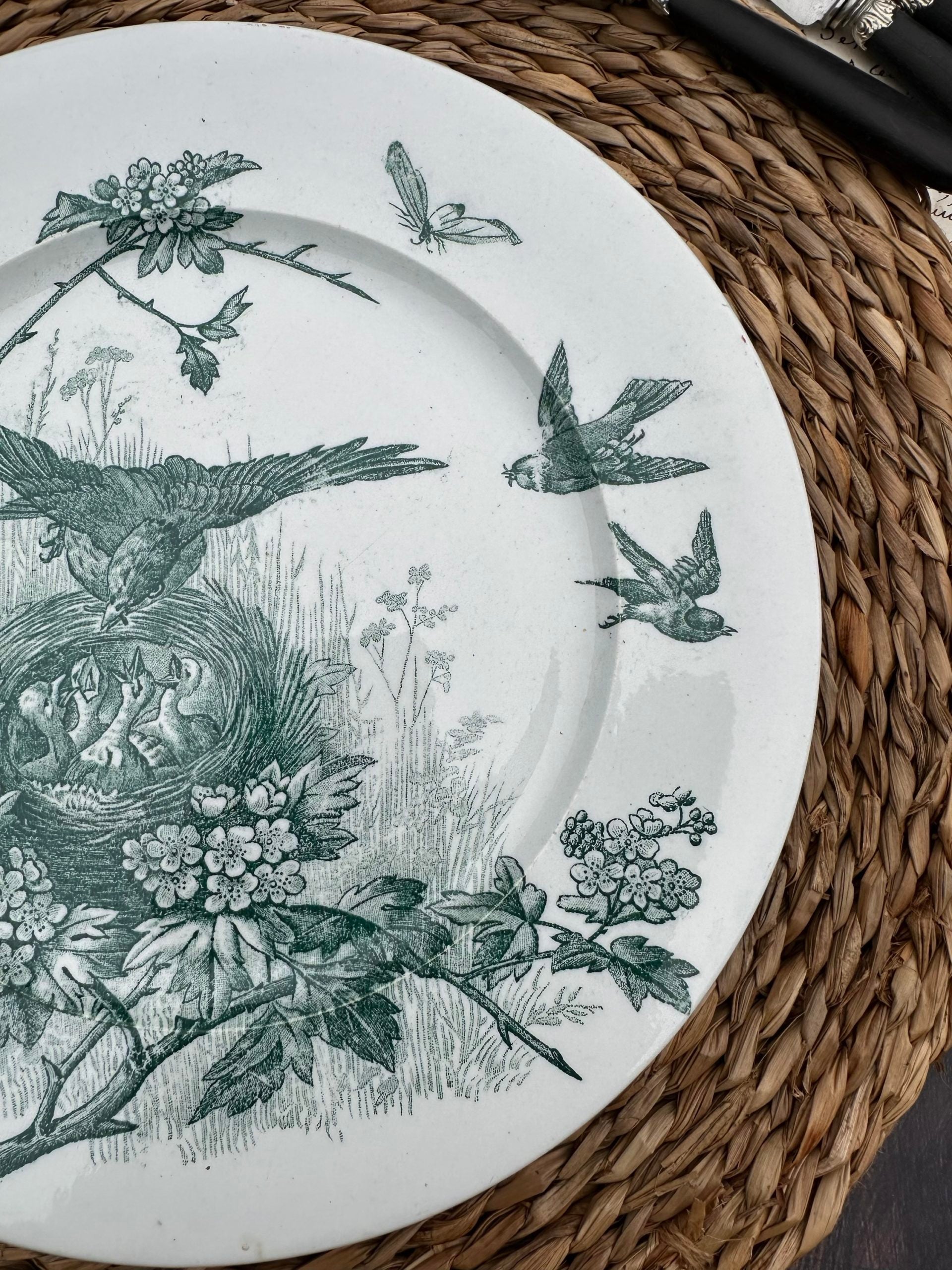 Sublime assiette Jules Vieillard Bordeaux modèle Oiseaux