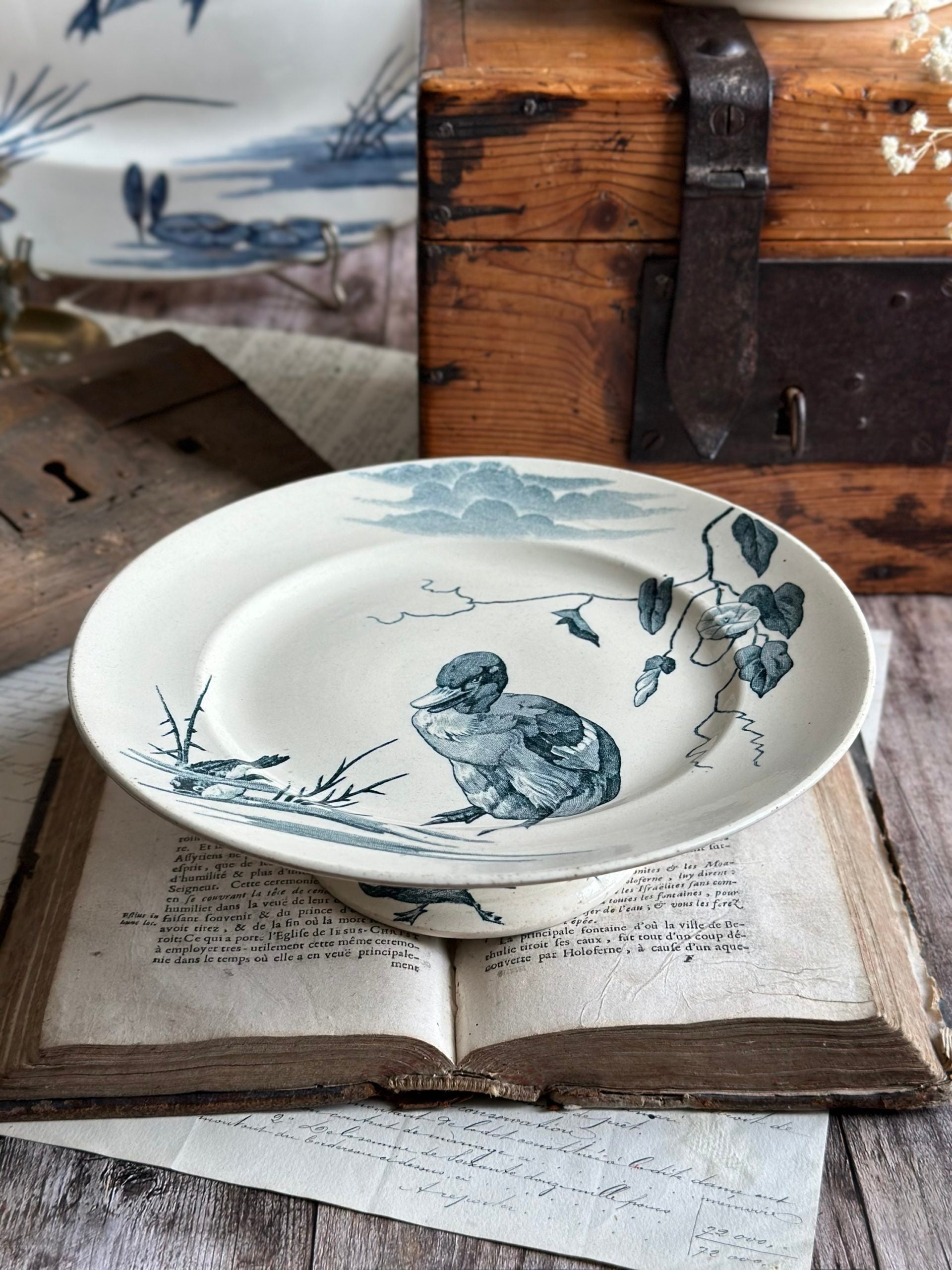 Plat piédouche Lunéville modèle Oiseaux - vers 1880