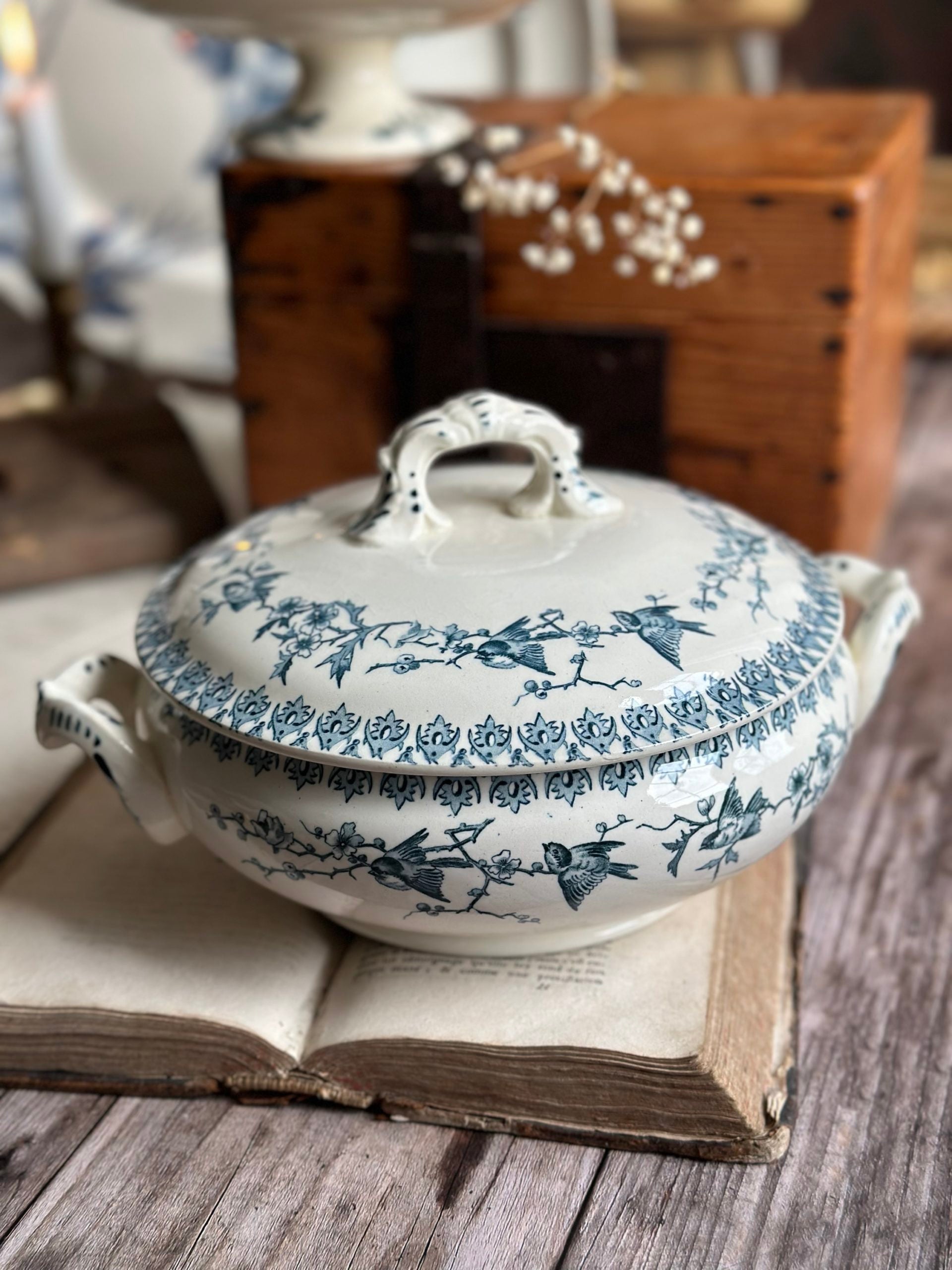 Légumier Choisy le Roi modèle Lyonnais