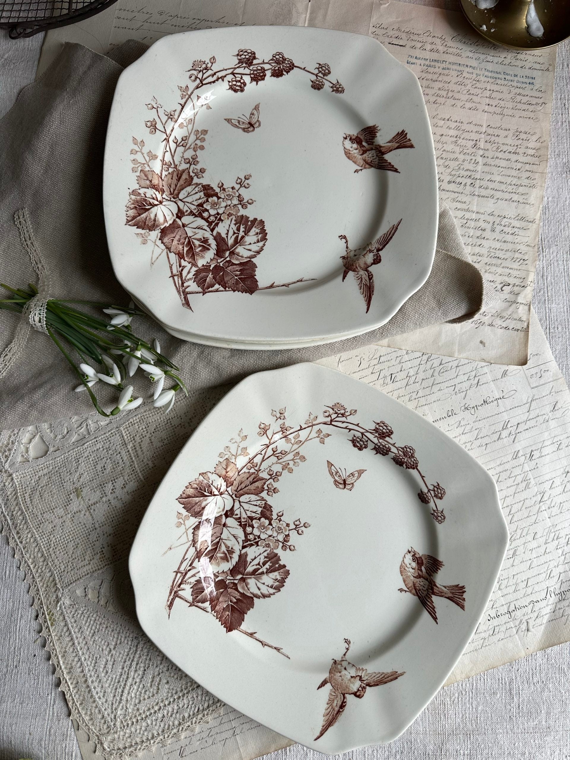 Suite de 6 assiettes plates Lunéville modèle Ronce