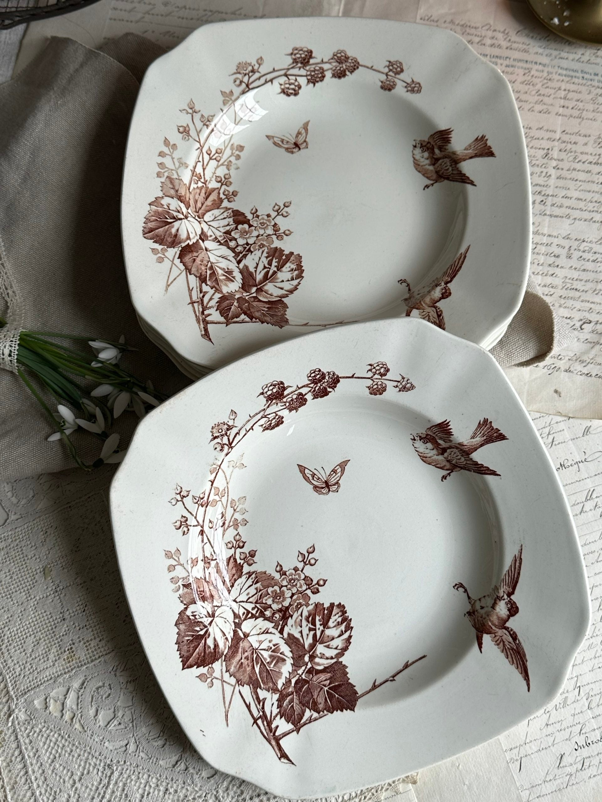 Suite de 4 assiettes creuses Lunéville modèle Ronce