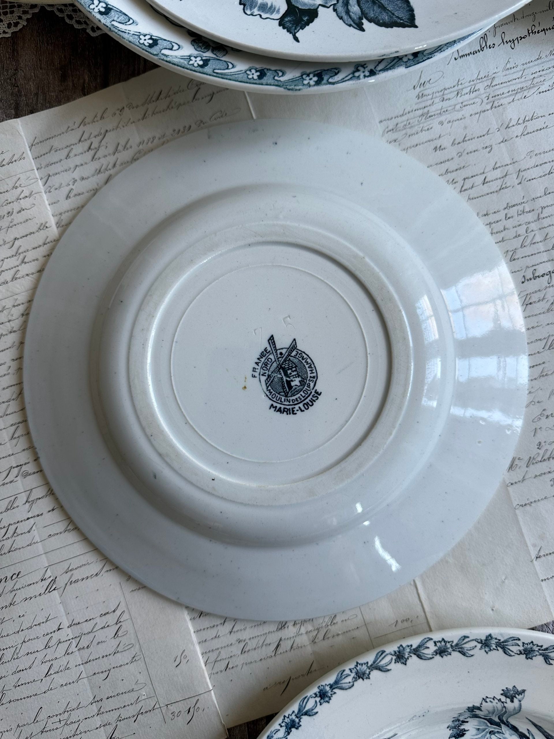IV. Suite de 6 assiettes plates terre de fer dépareillées