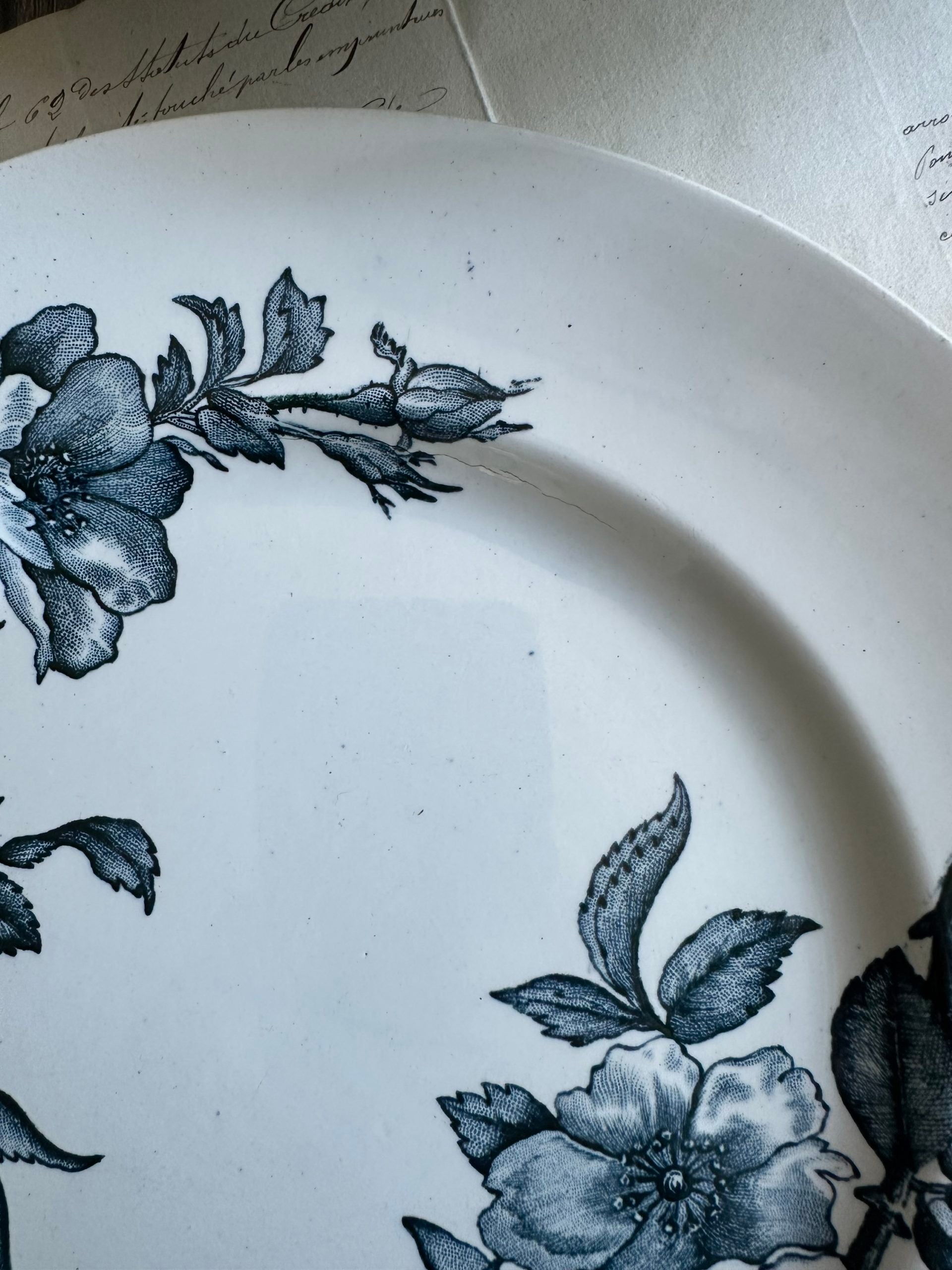 IV. Suite de 6 assiettes plates terre de fer dépareillées