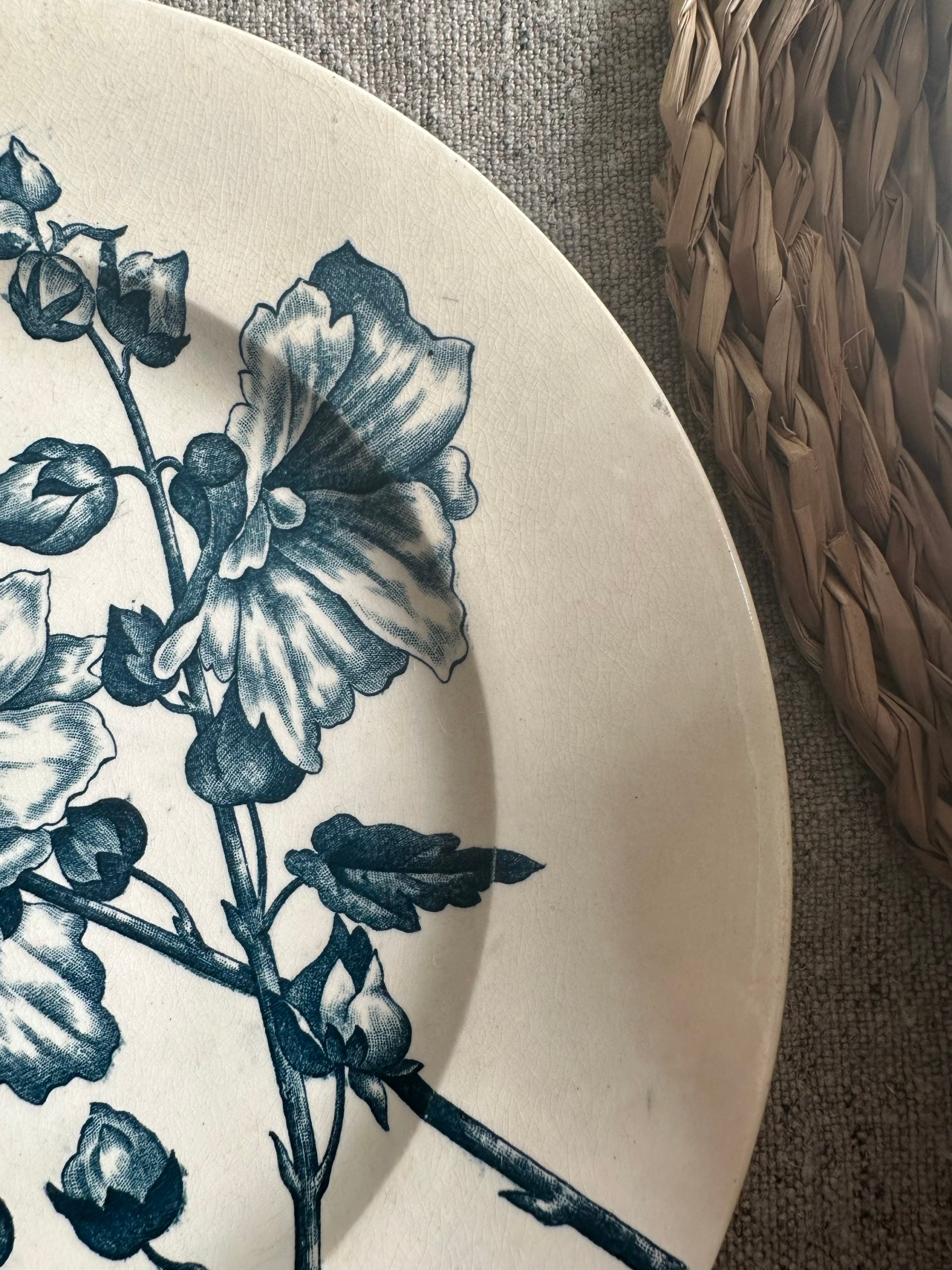 Suite de 6 assiettes plates terre de fer