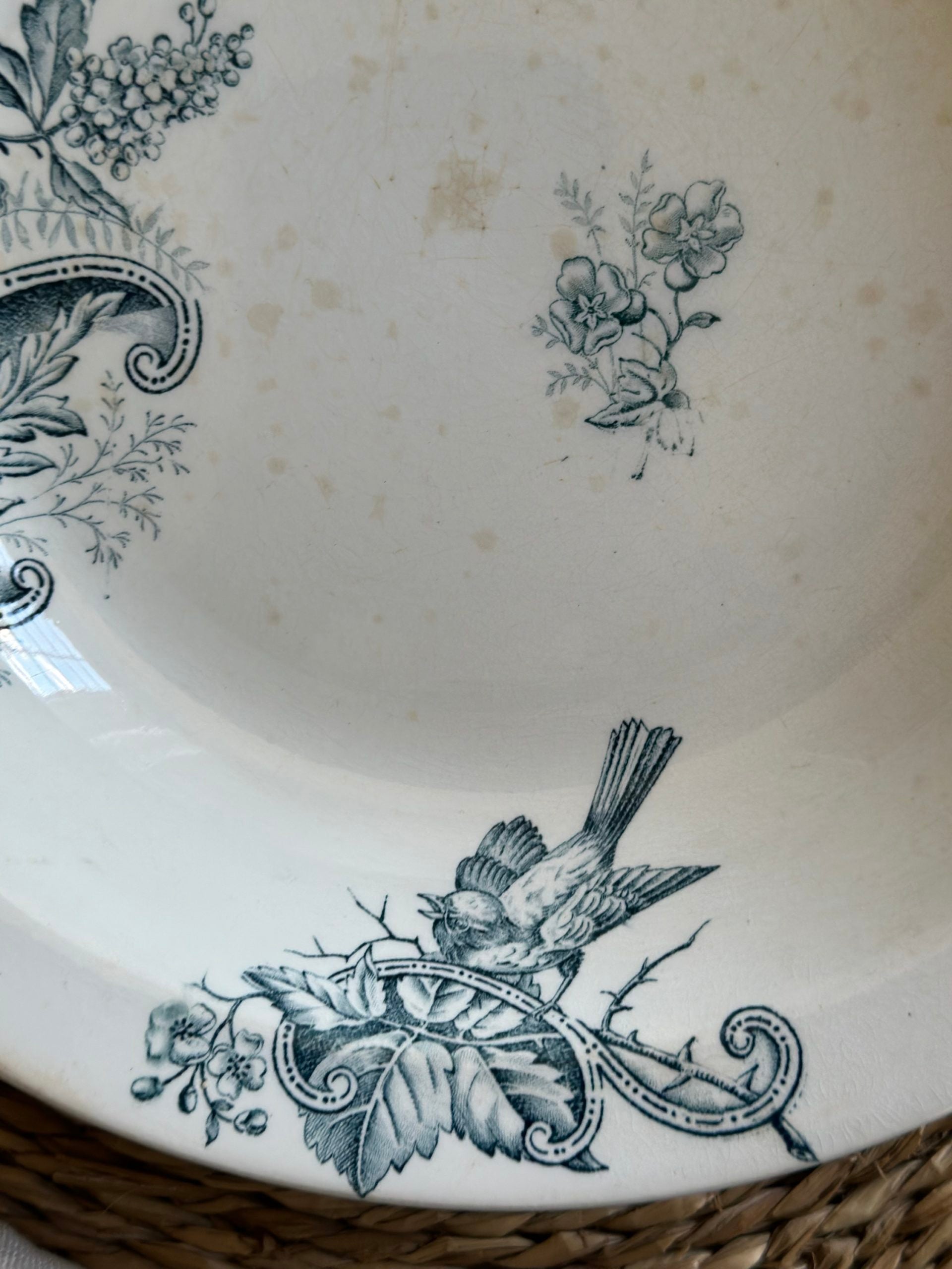 Saint Amant and Hamage bird-patterned bowl/salad bowl