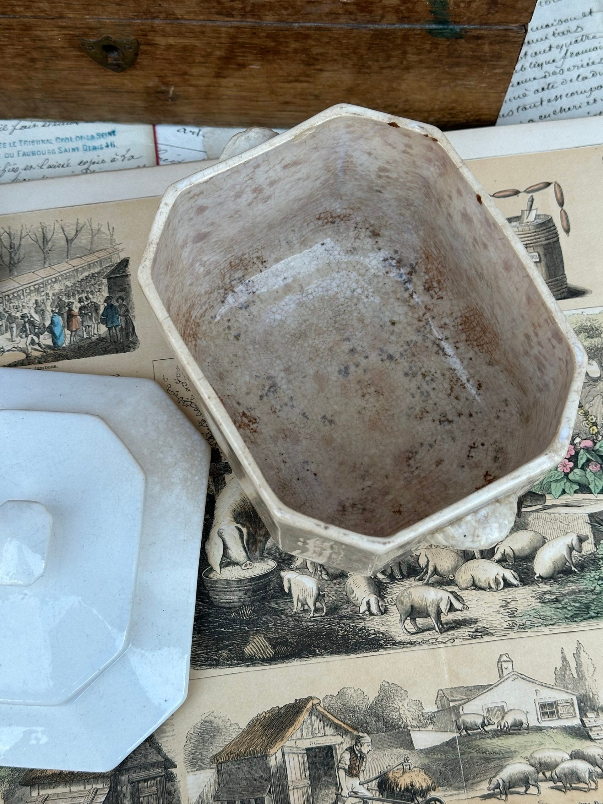 Large sugar bowl Sarreguemines, faun heads