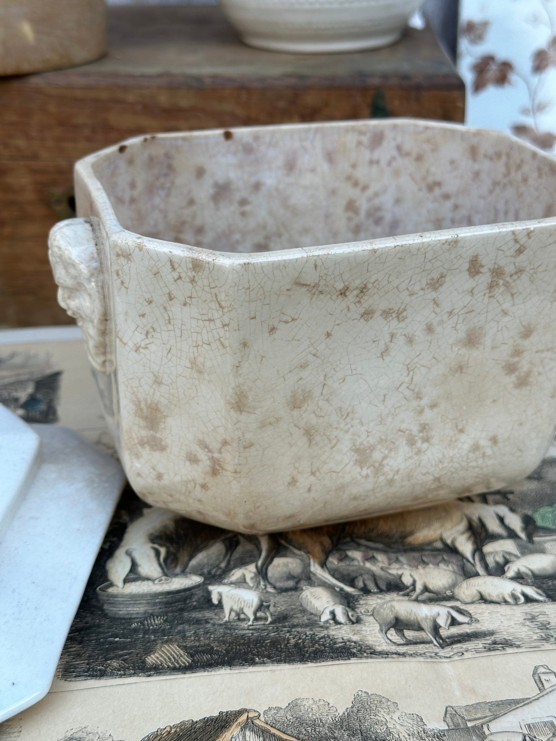Large sugar bowl Sarreguemines, faun heads