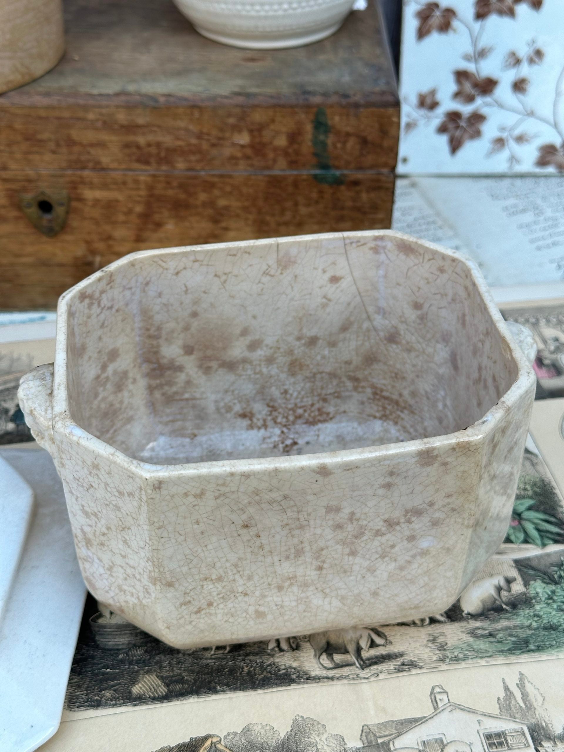 Large sugar bowl Sarreguemines, faun heads