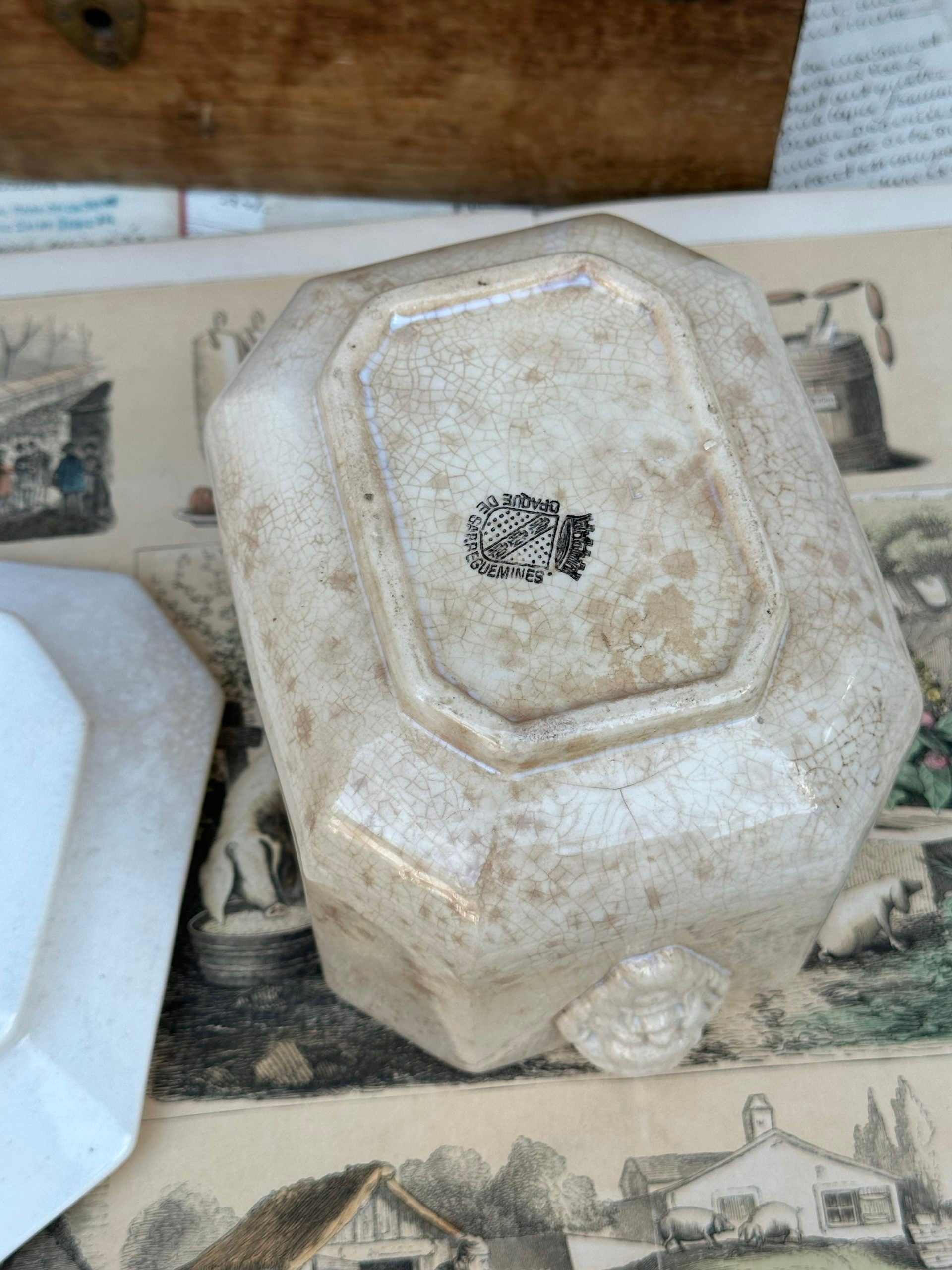 Large sugar bowl Sarreguemines, faun heads