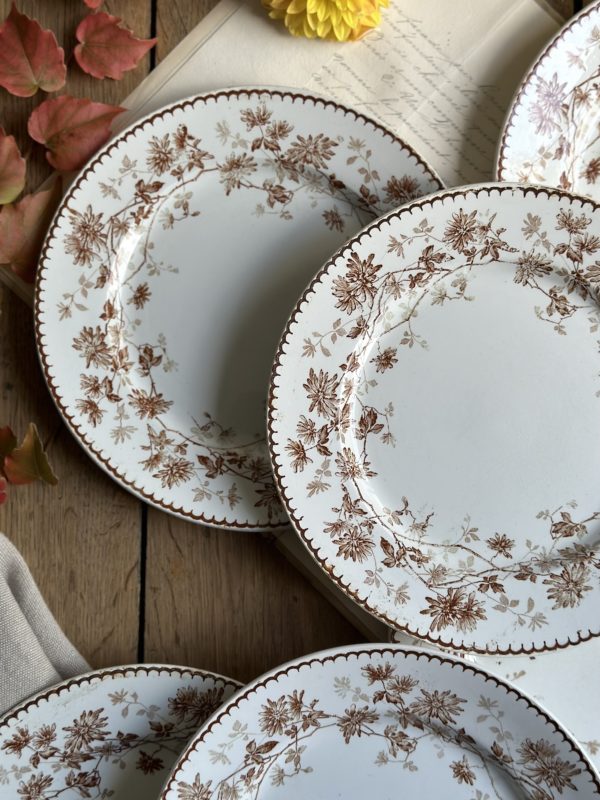 Ensemble 2 raviers et 6 assiettes plates Creil et Montereau modèle Mignardise – Image 6