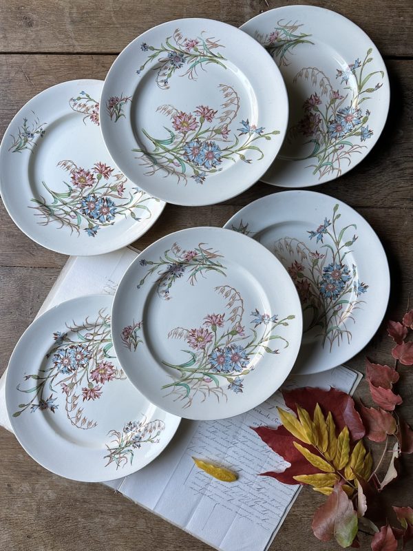 Ensemble de 6 assiettes plates Lunéville modèle Bleuet - petits défauts