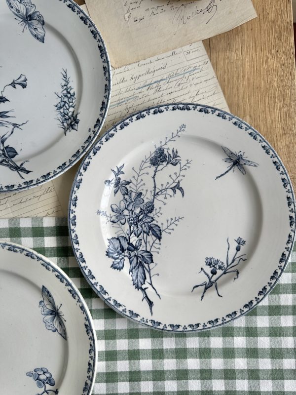Suite de 6 assiettes plates Sarreguemines modèle Carmen – Image 3
