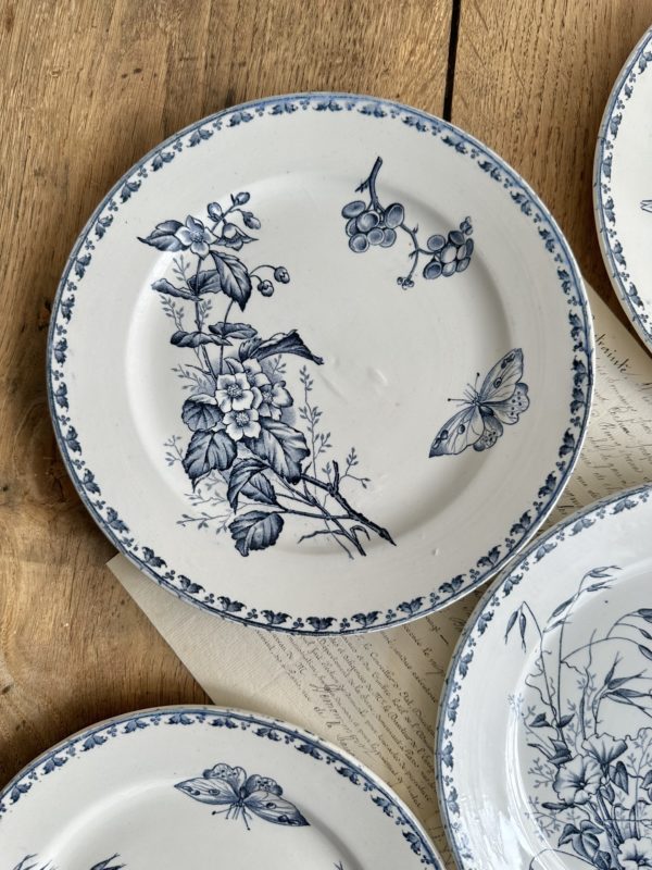 Suite de 6 assiettes plates Sarreguemines modèle Carmen – Image 5