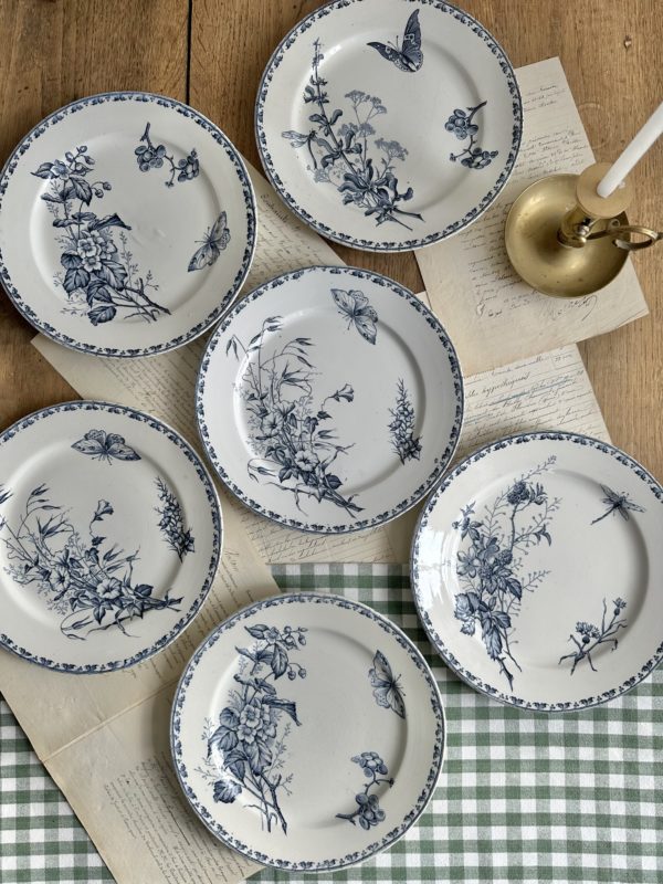 Suite de 6 assiettes plates Sarreguemines modèle Carmen – Image 9
