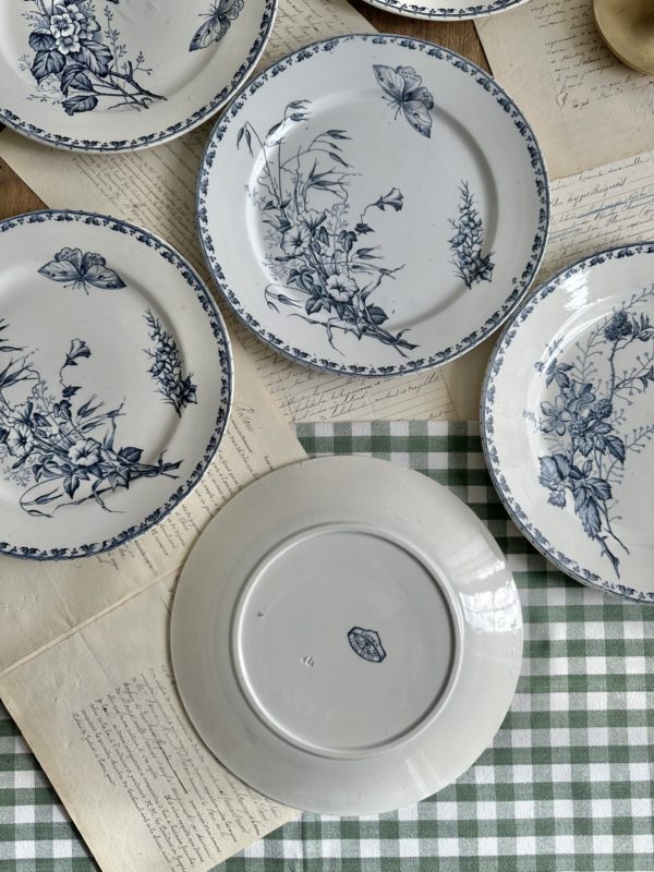 Suite de 6 assiettes plates Sarreguemines modèle Carmen – Image 10