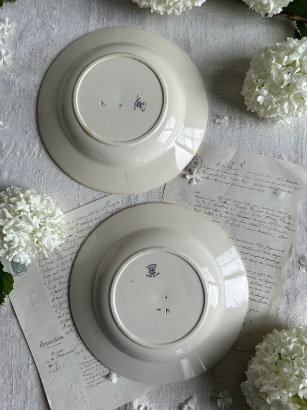 Paire d'assiettes creuses Creil et Montereau modèle Linotte – Image 4