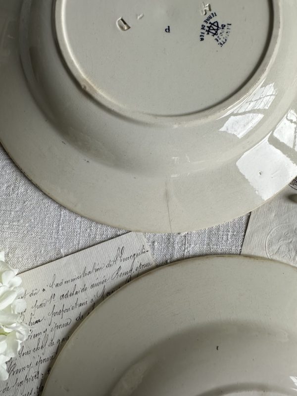 Paire d'assiettes creuses Creil et Montereau modèle Linotte – Image 5