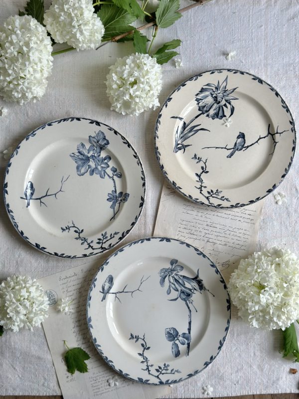 Suite de 3 assiettes plates Choisy le Roi modèle Oxford