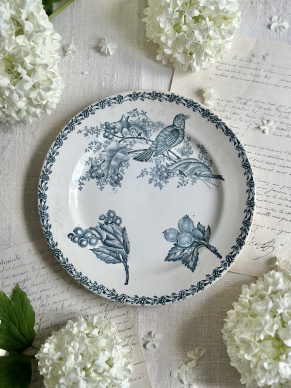 Assiette terre de fer oiseau