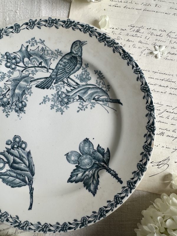Assiette terre de fer oiseau – Image 2