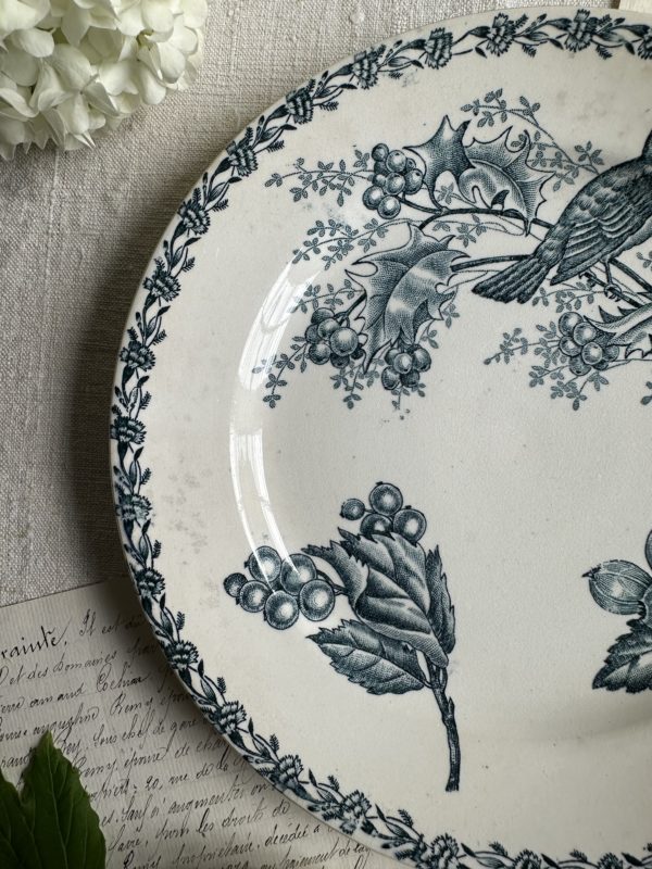 Assiette terre de fer oiseau – Image 3