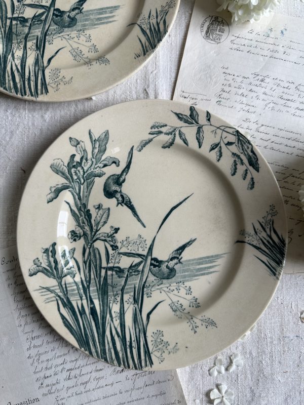 Paire d'assiettes plates JVB pour E.C Samaritaine modèle Nénuphar - 1894/1895 – Image 2
