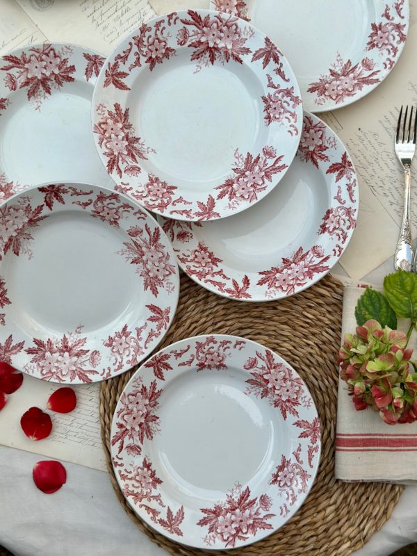 Suite de 6 assiettes creuses St Amand modèle Anémone – Image 9