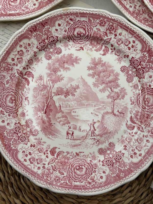 II. Suite de 6 assiettes plates Villeroy & Boch modèle Burgenland rose  – Image 5