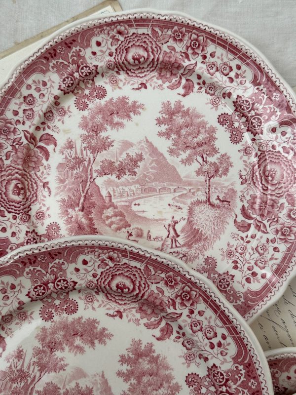 II. Suite de 6 assiettes plates Villeroy & Boch modèle Burgenland rose  – Image 2