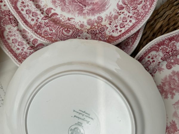 II. Suite de 6 assiettes plates Villeroy & Boch modèle Burgenland rose  – Image 6