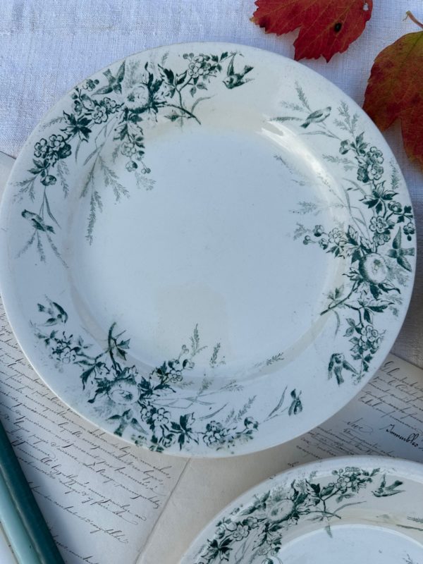 Suite de 3 assiettes Creil et Montereau modèle Linotte, vertes – Image 3