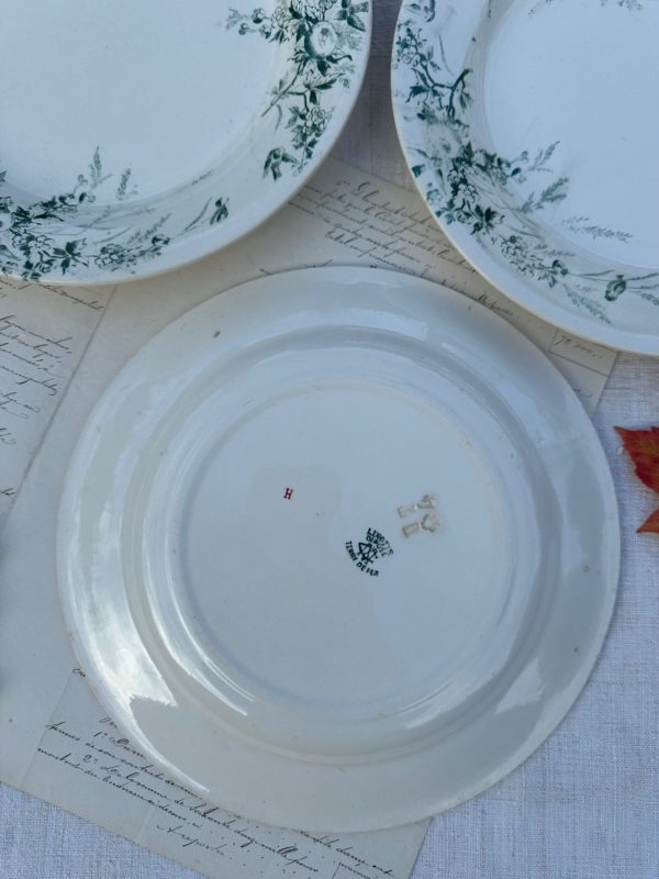 Suite de 3 assiettes Creil et Montereau modèle Linotte, vertes – Image 5