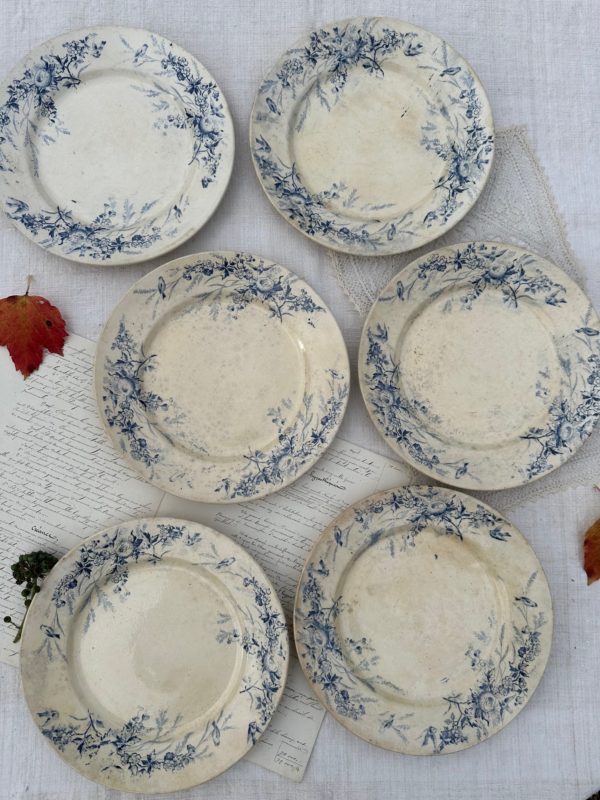 Lot de 6 assiettes plates Creil et Montereau modèle Linotte