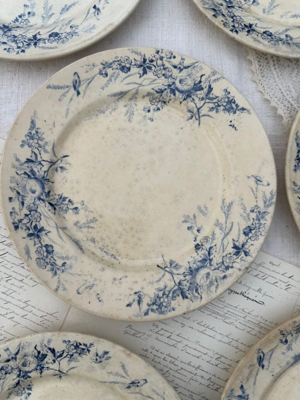 Lot de 6 assiettes plates Creil et Montereau modèle Linotte – Image 7