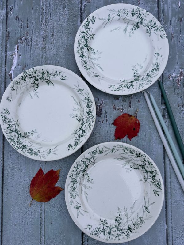Suite de 3 assiettes Creil et Montereau modèle Linotte, vertes