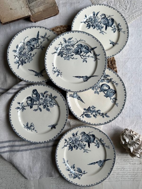 Suite de 6 assiettes plates Sarreguemines Favori